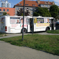 Stojící Třešňák u KD 